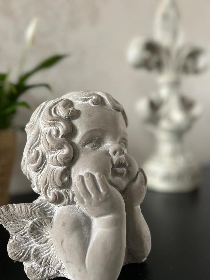 Domaine Des Anges Bed & Breakfast Avesnes-sur-Helpe Eksteriør bilde